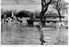 Floods1951-1955_2
