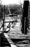 Floods 1975-1976