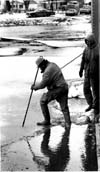 Floods 1978-1979