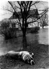 Floods 1978-1979