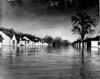 Floods 1950