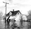 Floods 1950