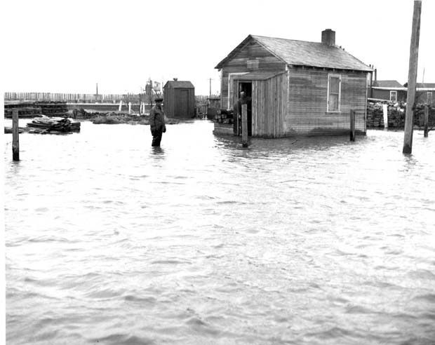 Floods 1950