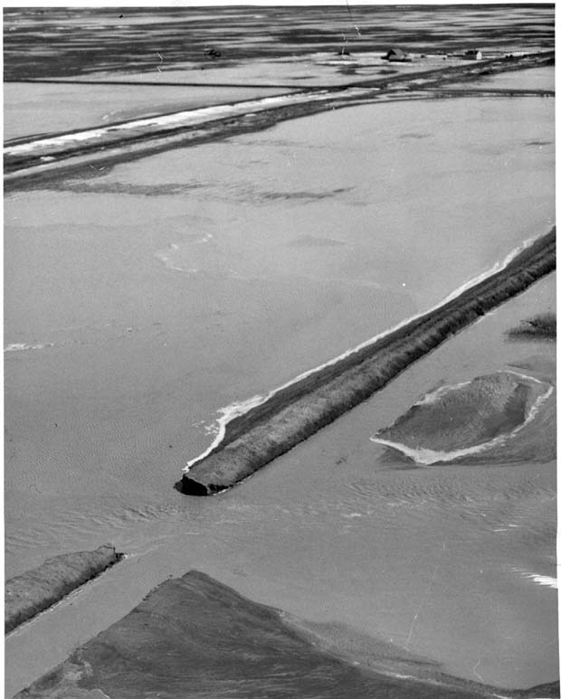 Floods 1950