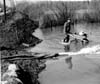 Floods 1950