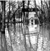 Floods 1950