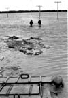 Floods 1950