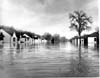Floods 1950
