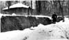 Floods 1951-1955