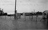 Floods 1951-1955