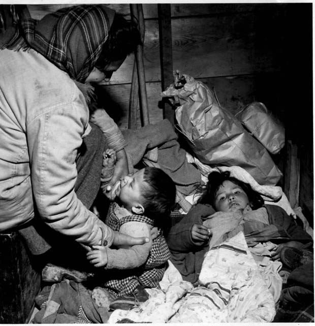 Floods 1951-1955