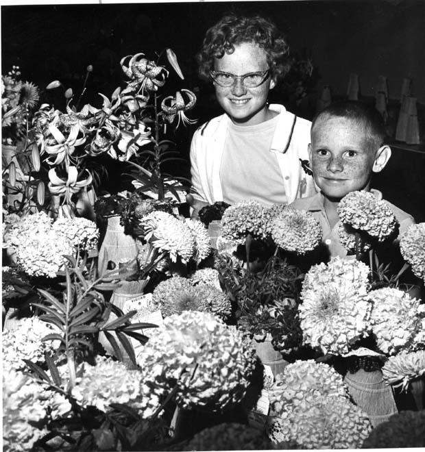 Flowers