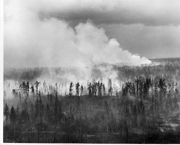 Forest Fires