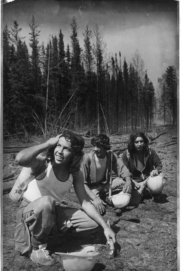 Forest Fires