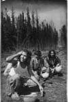 Forest Fires