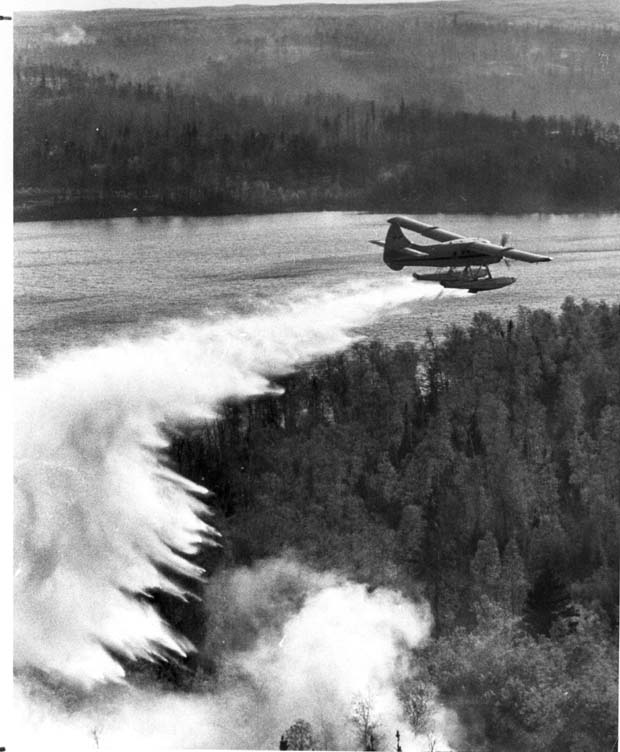 Forest Fires