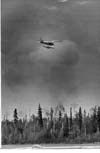Forest Fires