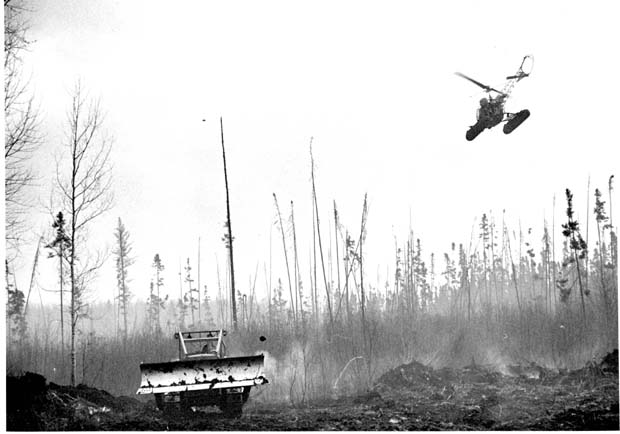 Forest Fires 1948-1980