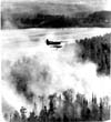 Forest Fires 1948-1980