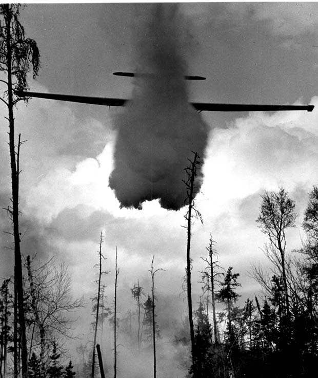 Forest Fires 1948-1980