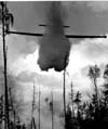 Forest Fires 1948-1980