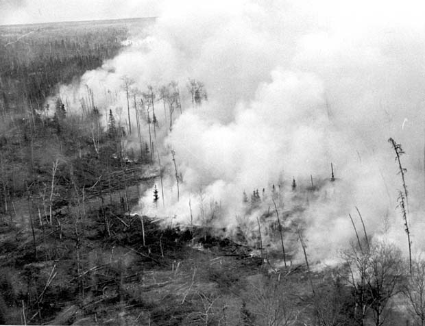 Forest Fires 1948-1980