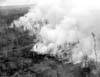Forest Fires 1948-1980