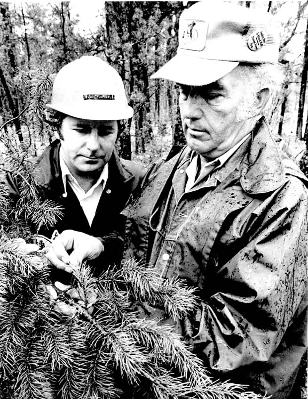 Forests 1940-1980