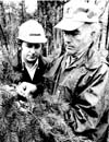 Forests 1940-1980