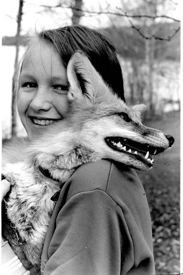 Foxes