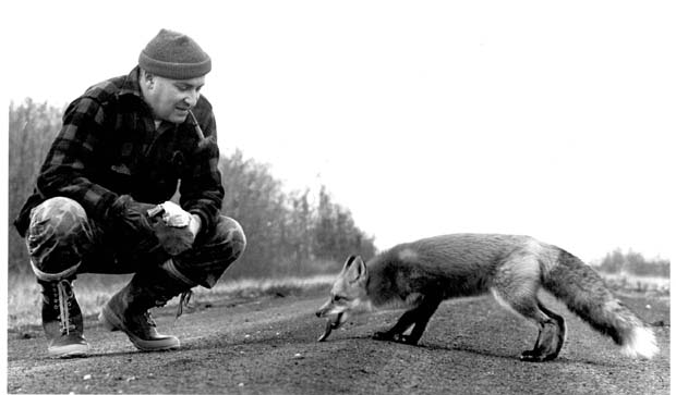 Foxes