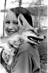 Foxes