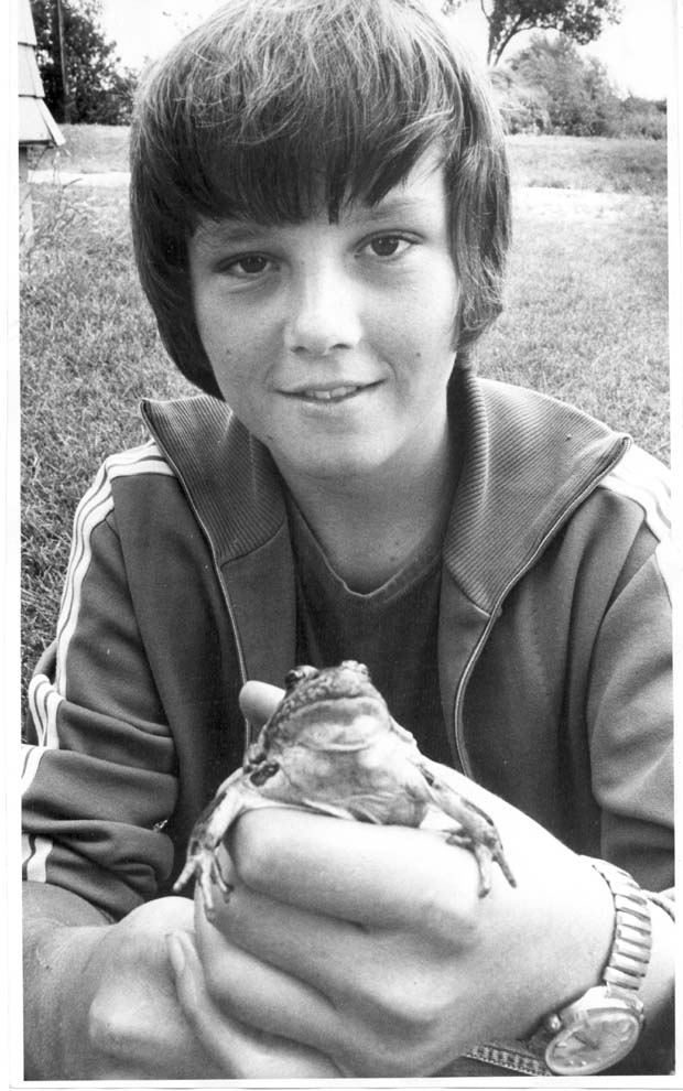 Frogs