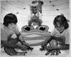 Frogs