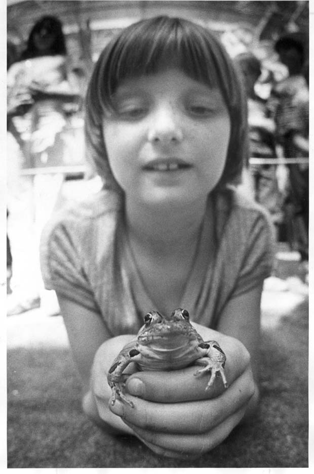 Frogs
