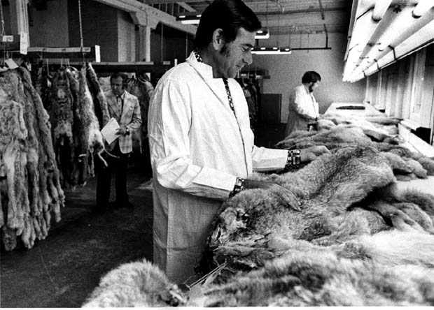 Fur and Trapping