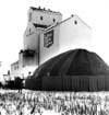Grain and Grain Handling