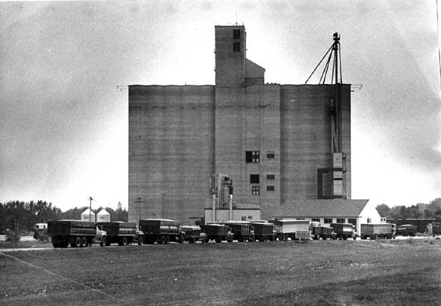 Grain and Grain Handling