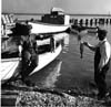 Hecla Island