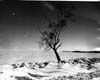 Hecla Island