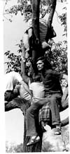 Hippies