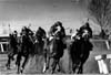 Horse Racing