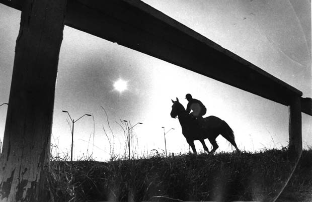 Horse Racing