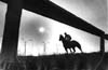 Horse Racing