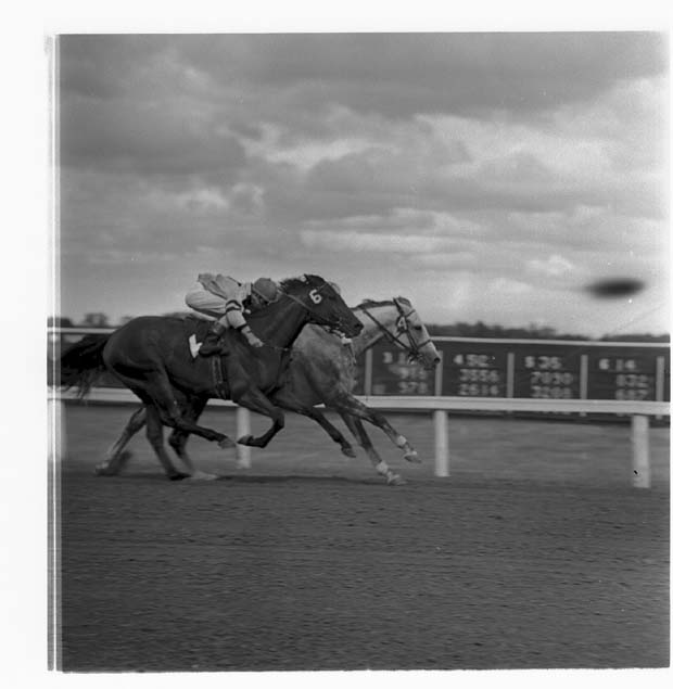 Horse Racing