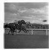 Horse Racing