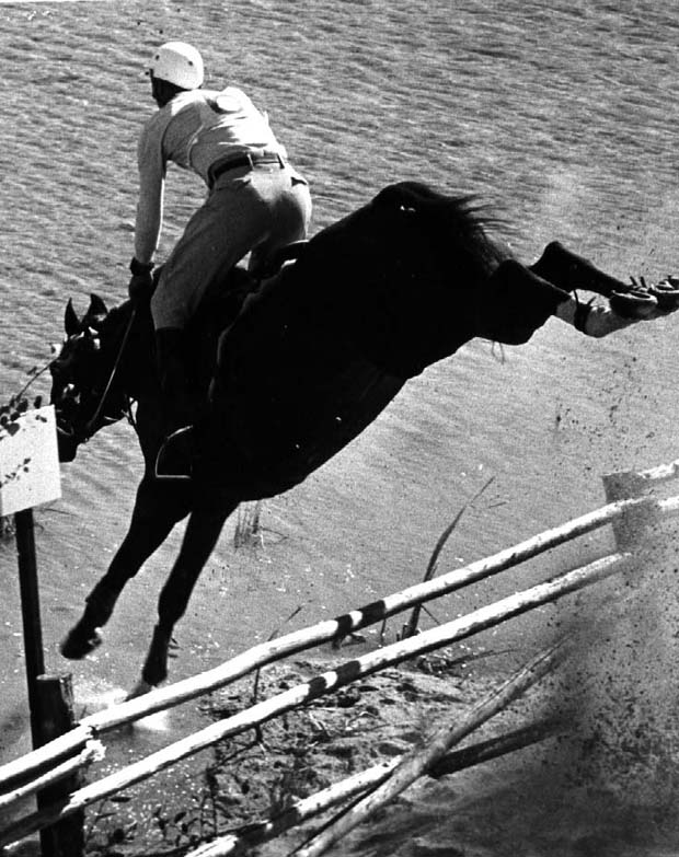 Horse Racing