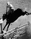 Horse Racing
