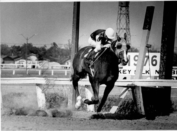 Horse Racing