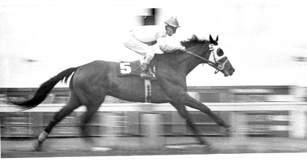 Horse Racing